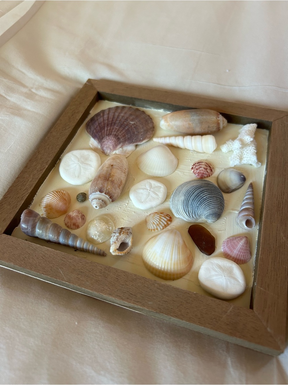 Seashell Shadow Box Wall Art - Neutral Coastal Decor - Handmade